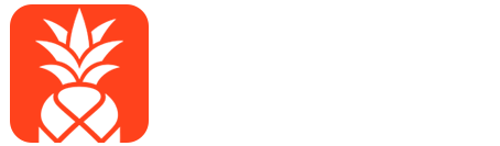 Ananas Tours